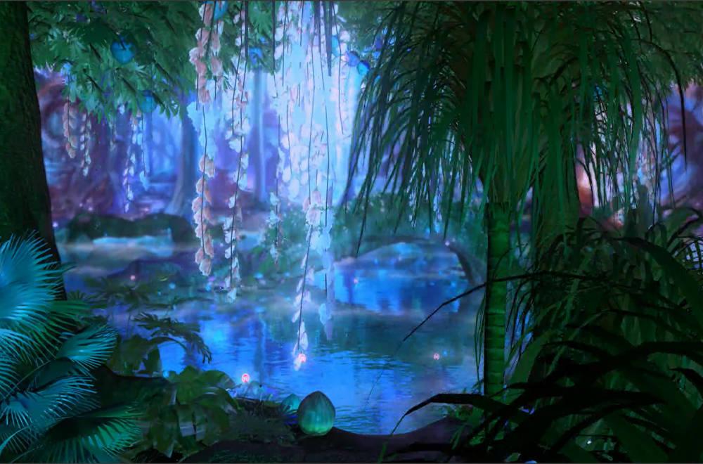 春雨直播app