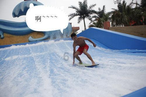 照顾小兔宝宝