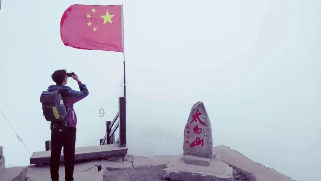 红色鹦鹉逃脱