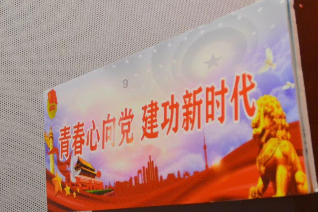 浦东金桥涨停