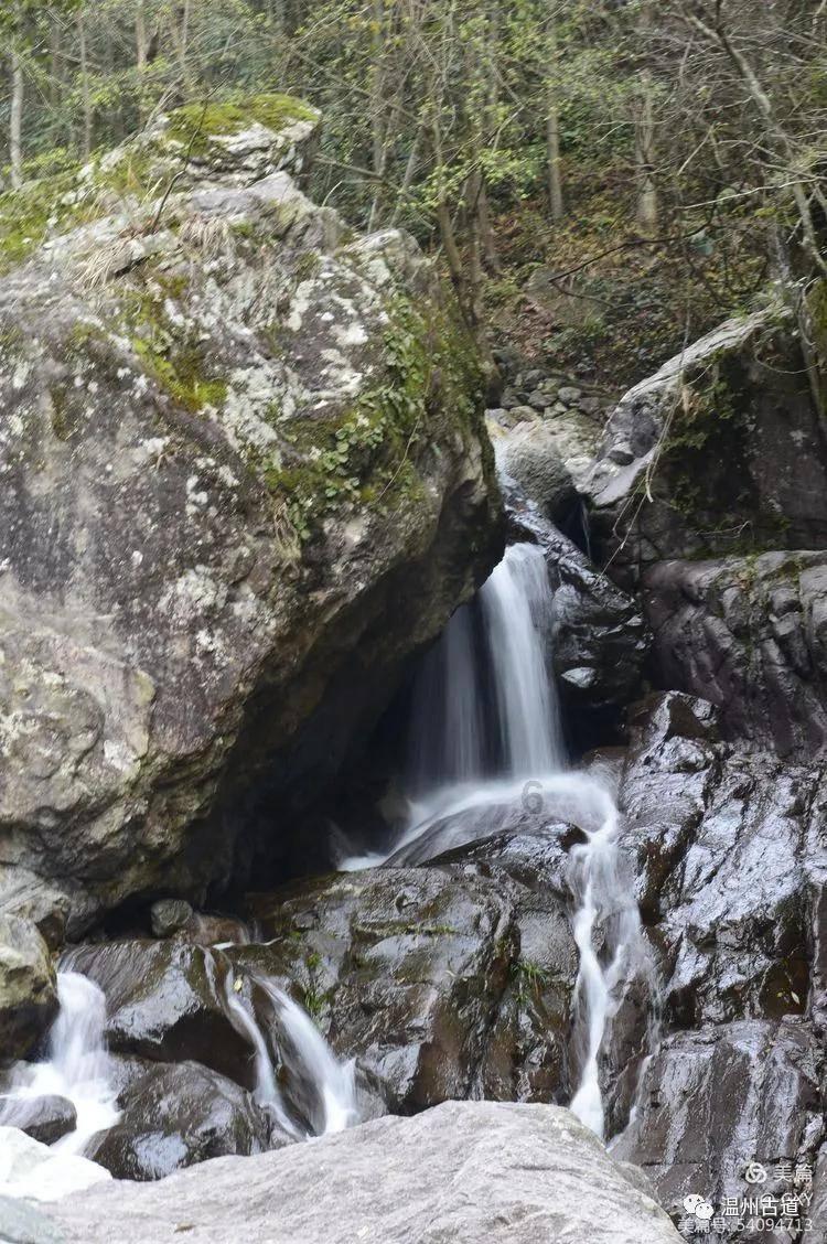 虫虫助手下载