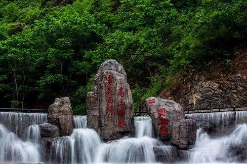拯救精灵的土地6