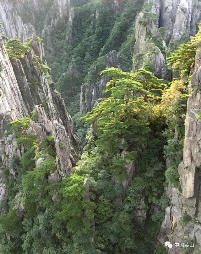 美味的烹饪料理