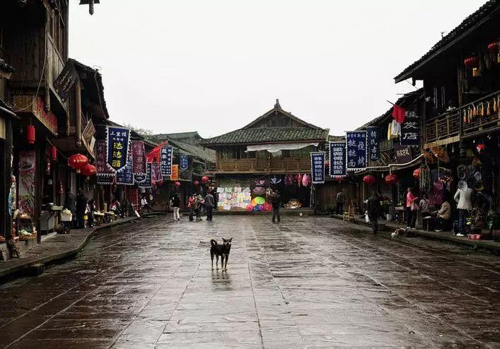 人的头发一年正常能长多长游戏画面